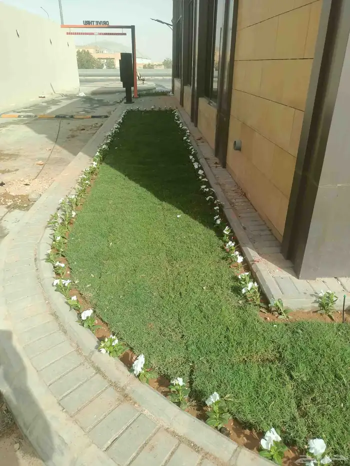 تنسيق حدائق 4