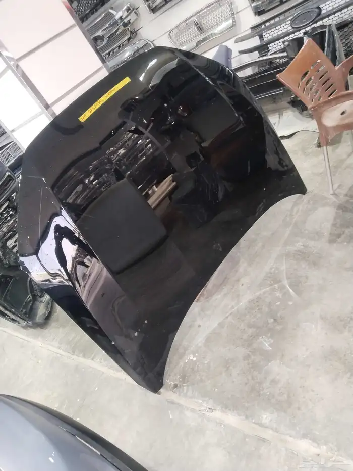 كبوت تورس 2023 0