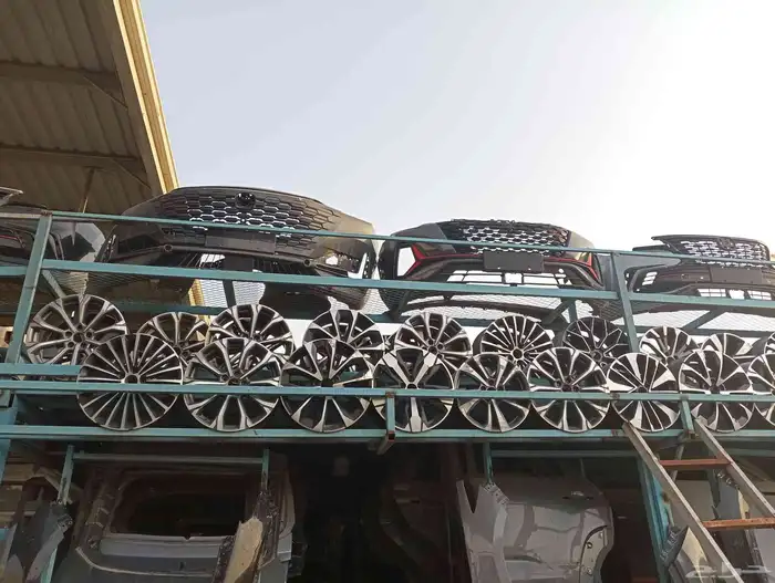 جنوط شنجان 0