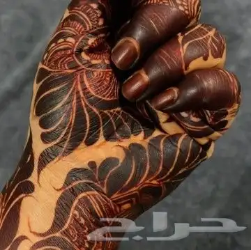 نقاشه ام أروى الرياض العرايس والعادي 14