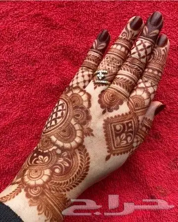 نقاشه ام أروى الرياض العرايس والعادي 8