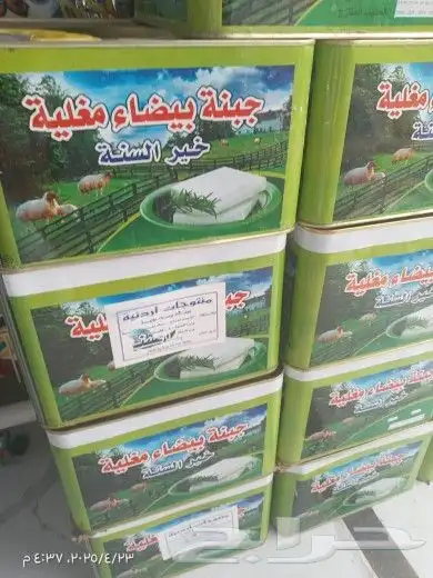 جبنه عرب مقليه 5