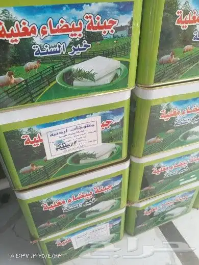 جبنه عرب مقليه 7