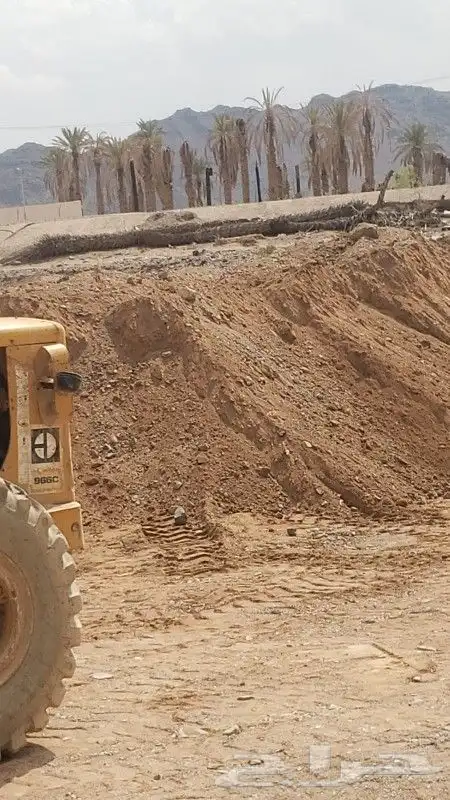 دفان صبيز قواعد ارقاب ميده 4