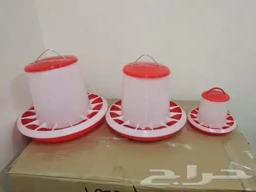 سقايات. دجاج. حمام. طيور. 11