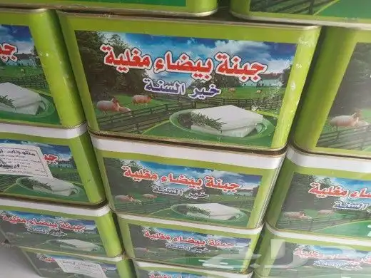 جبنه عرب مقليه 9