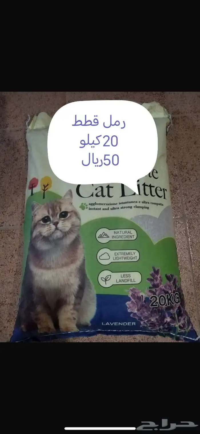 اكل. فشر. كناري. طيور حب. 1