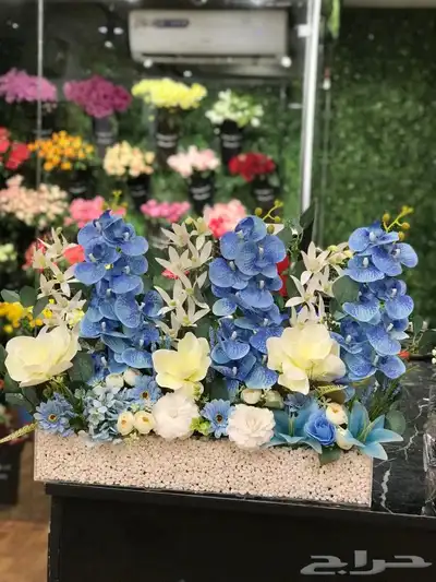 رفيد   خميس_مشيط  توصيل منازل هدايا   ابهاء   ر 12
