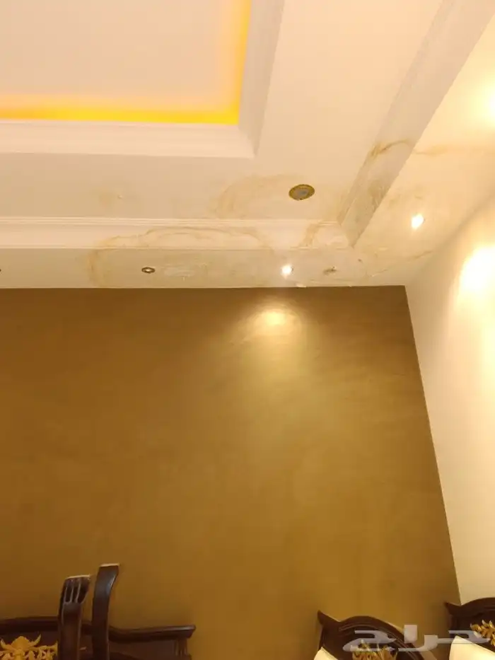 دهانات داخليه و خارجيه 1