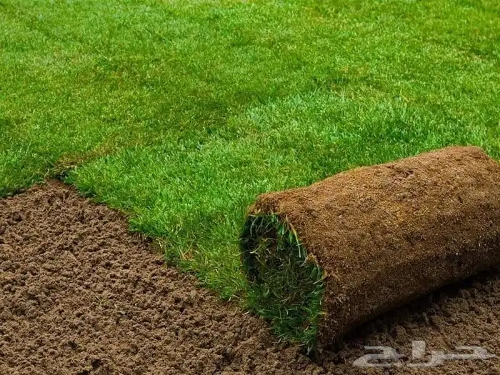 تنسيق حدائق 7