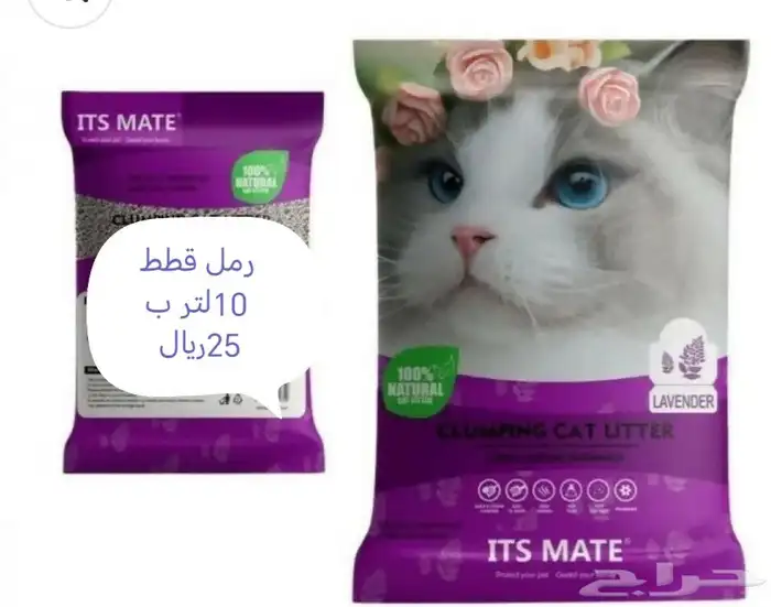 اكل. فشر. كناري. طيور حب. 0