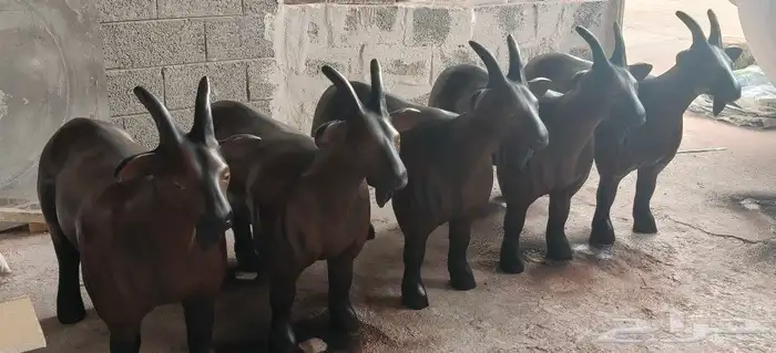 ديكورات فايبر جلاس 3