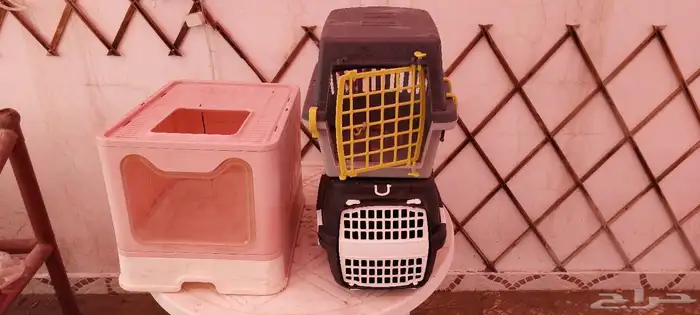 ملحقات قطط احواض اكل صندوق مع بوكس فضلات 1