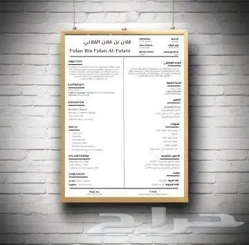 سيره ذاتيه مدمجه (عربي و انجليزي) بنظام ATS 1