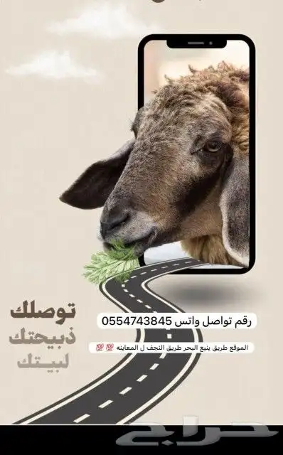 طليان ذبايح يوجد سلخ وتوصيل 8