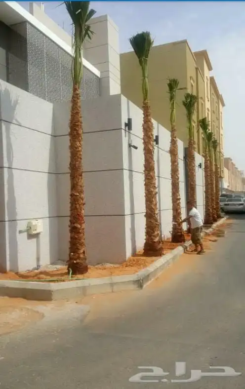 اسلام عليكم ابوعلي اتواصل واتساب 4