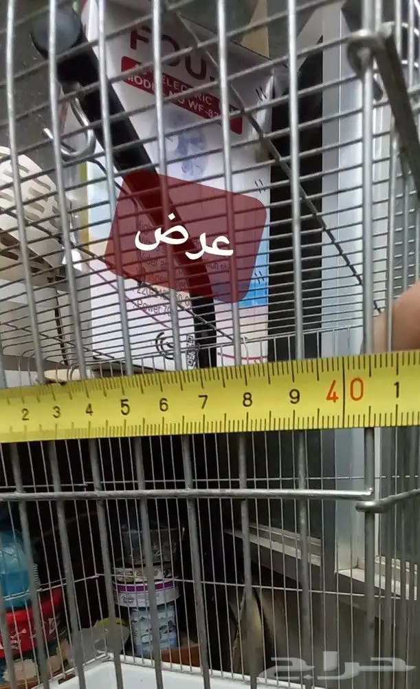 قفص قطط وكلاب وقفص طيور مع استاند دائري 4