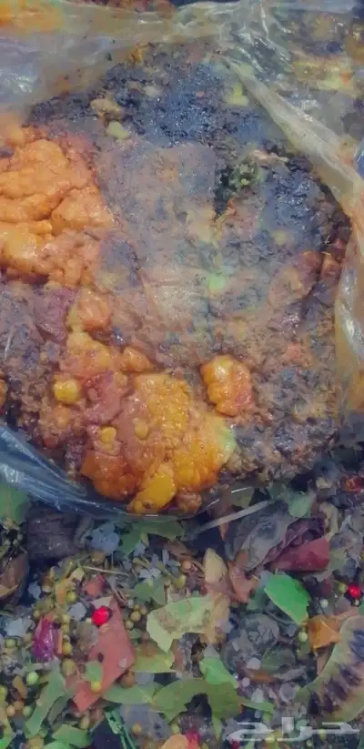 بخور مغربي أعشاب فاسوخ طقش 6