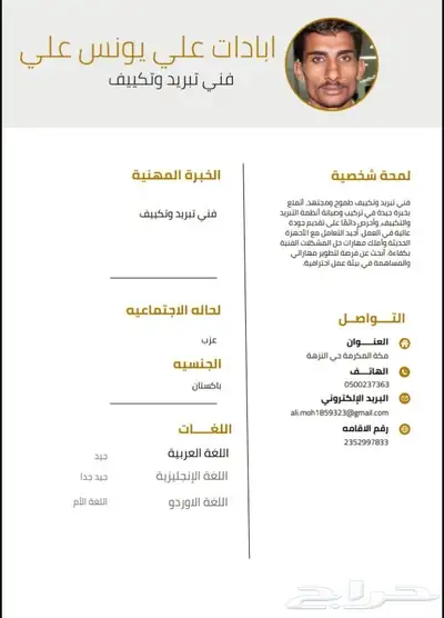 سيرة ذاتية CV 2