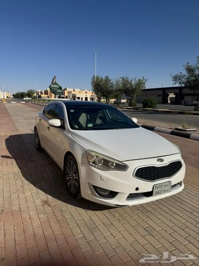 كادينزا 1