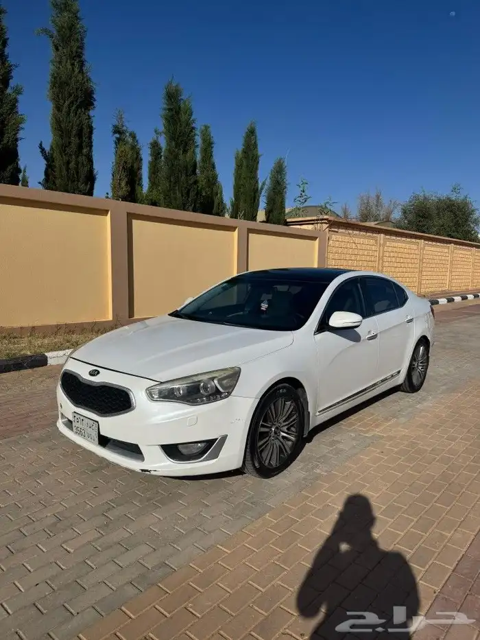 كادينزا 0