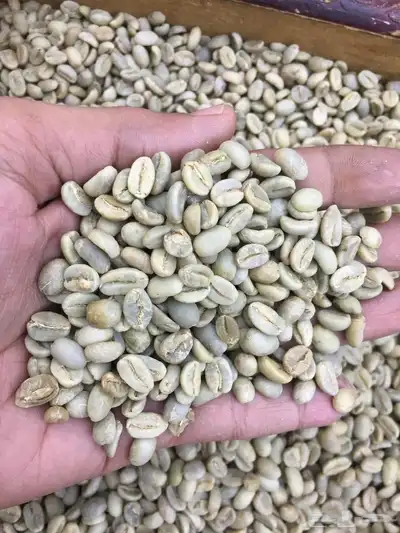 بخور مغربي أعشاب فاسوخ طقش 9