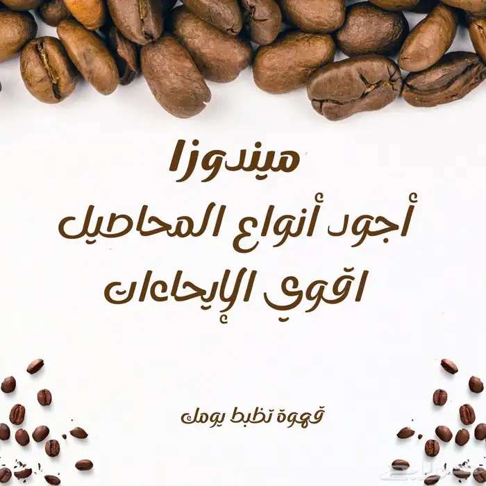 ميندوزا للقهوة المختصة والتجاري 2