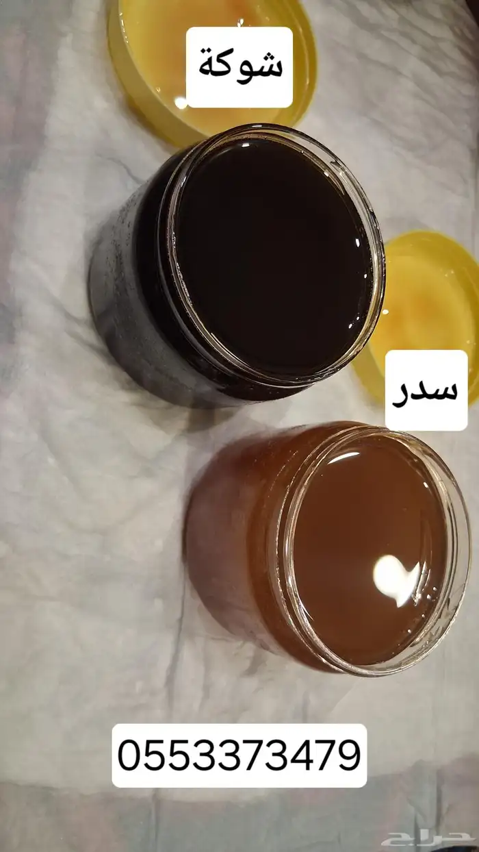 عسل الجبال الجنوبية الشوكة والسدر الأصليين 1