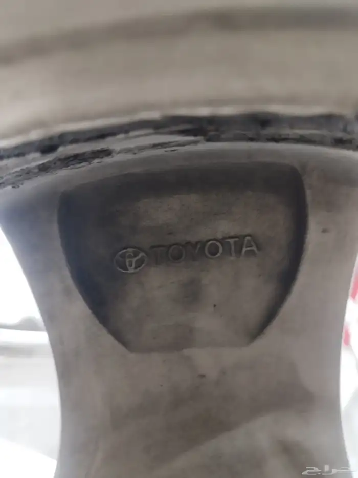 جنوط اليحيى 5