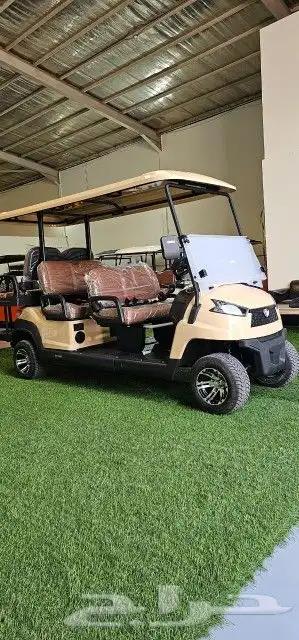 بيع وتأجير عربات القولف كار golf carts 14
