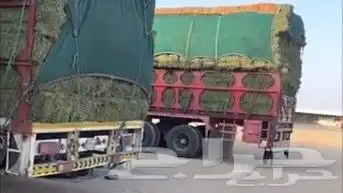 رودس رشاش ناعم لون أخضر جديد من وادي الدواسر شد طيب 2