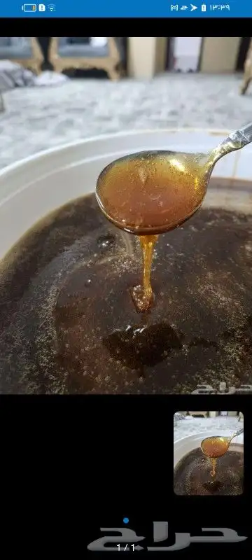 عسل انتاج ربيع حايل طلح وبسباس 0