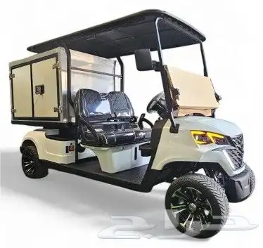 بيع وتأجير عربات القولف كار golf carts 29