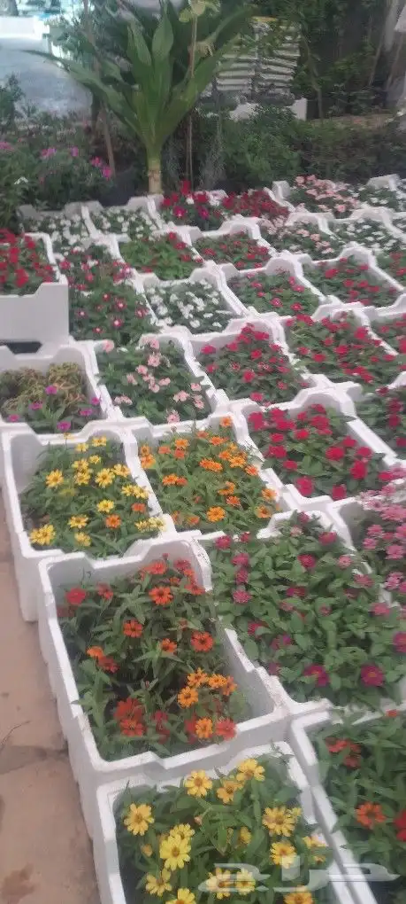 مشتل تنسيق حدائق 7