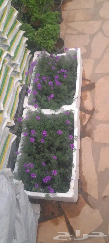 مشتل تنسيق حدائق 3