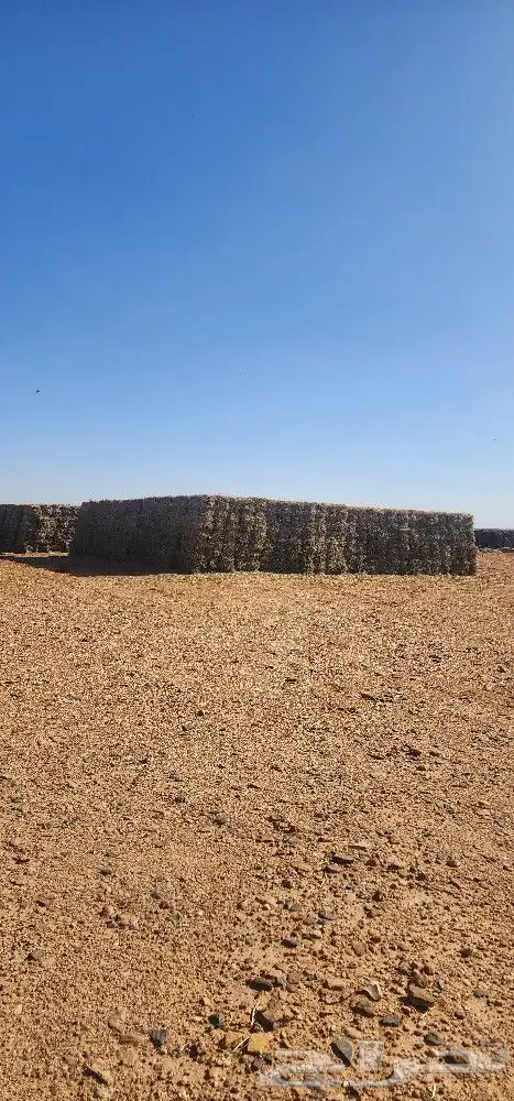 مخلوط اعلاف 0