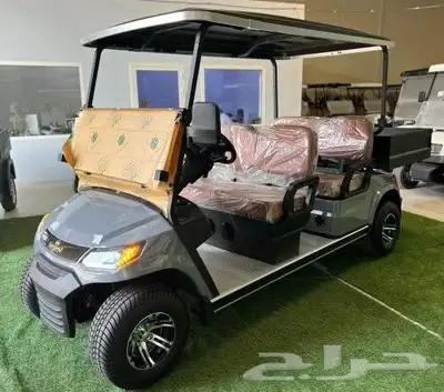 بيع وتأجير عربات القولف كار golf carts 8