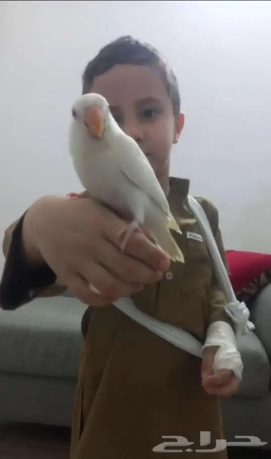 روز هداد داخلي 3