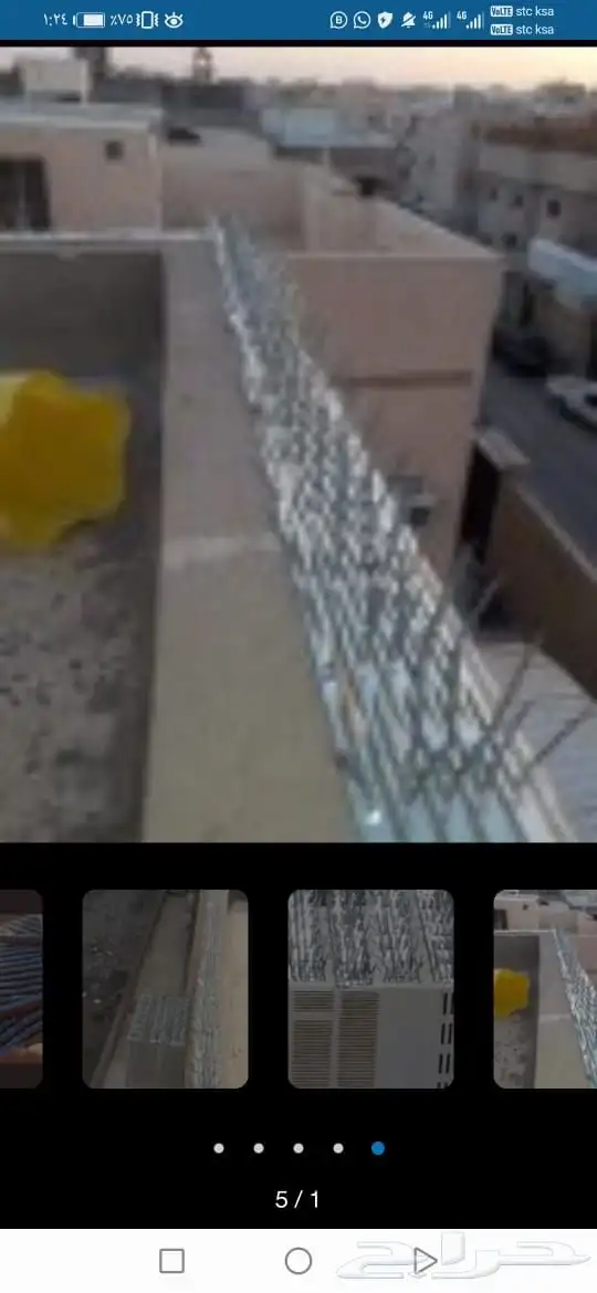 طار الحمام والطيور 5