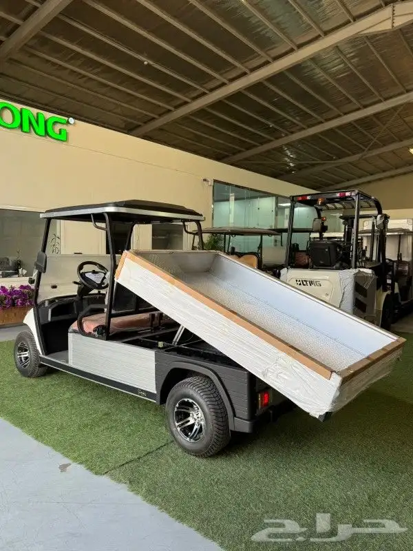 بيع وتأجير عربات القولف كار golf carts 4