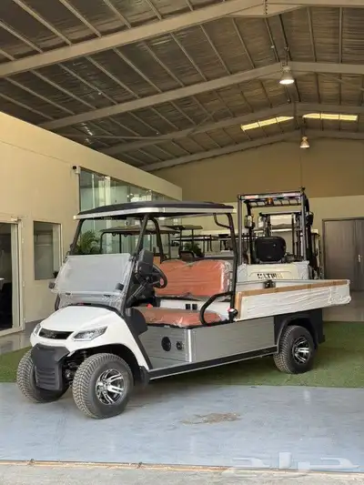 بيع وتأجير عربات القولف كار golf carts 3