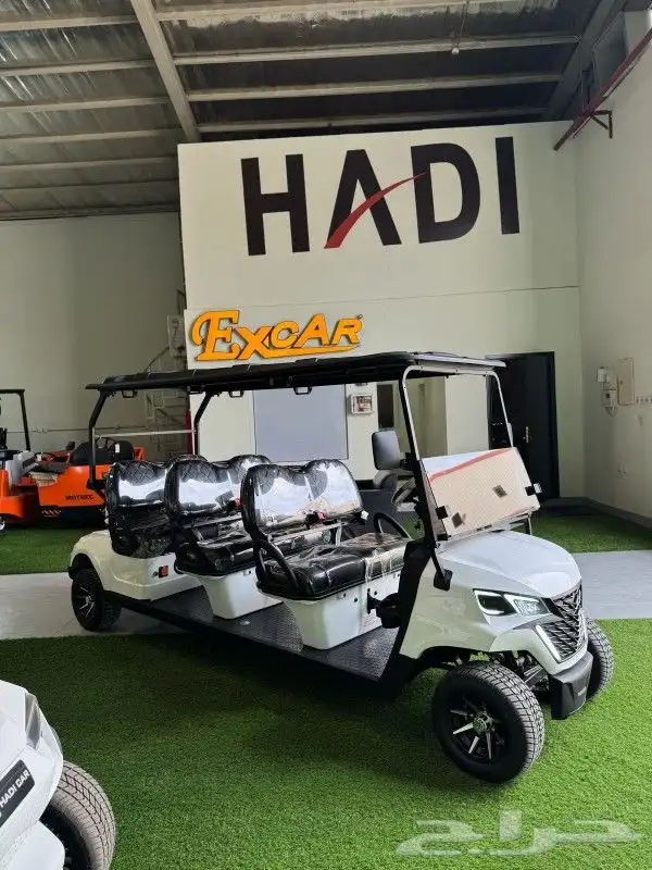 بيع وتأجير عربات القولف كار golf carts 10
