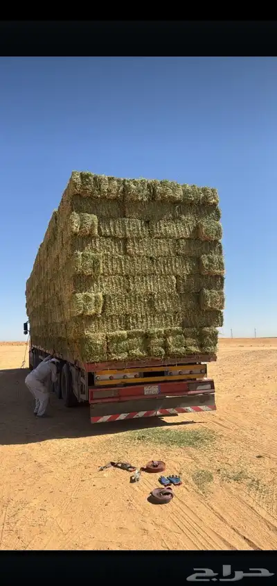 السلام عليكم ورحمة الله وبركاته برسيم صافي للبيع ويوجد أيضا 0