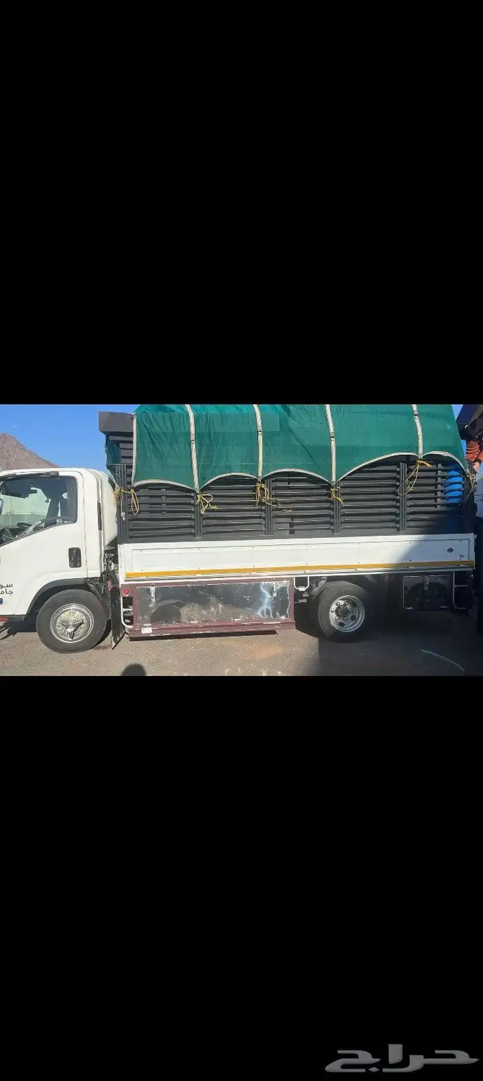 دينة دينه دينا طابق للحلال 0