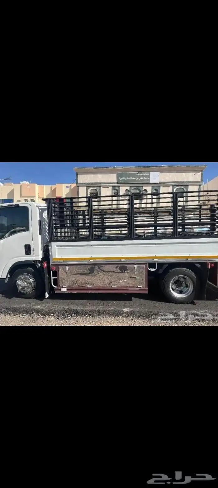 دينة دينه دينا طابق للحلال 1