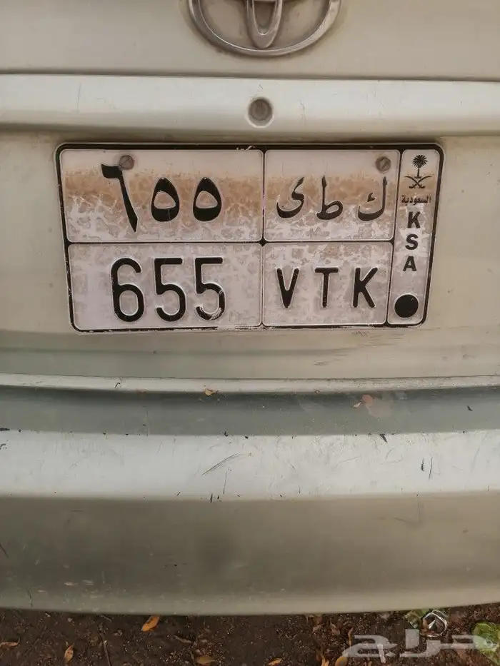 بيع نخل عربي واشنطن جميع انواع النخل 9