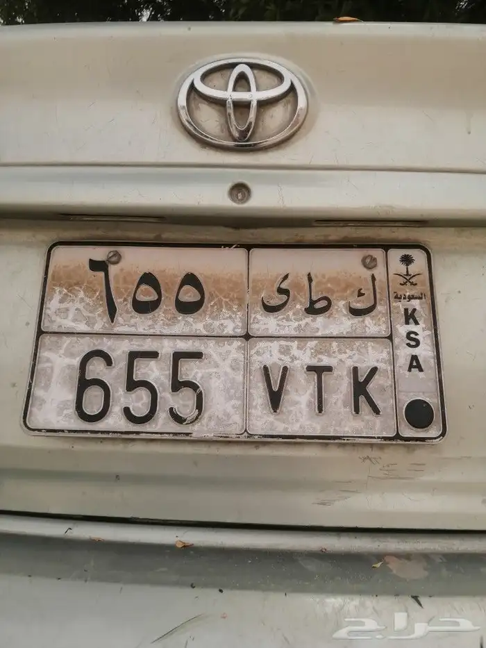 بيع نخل عربي واشنطن جميع انواع النخل 8
