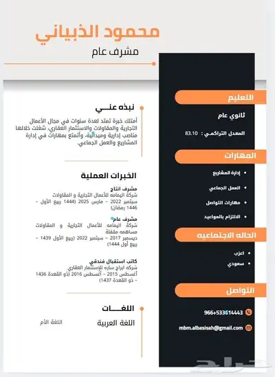 سيرة ذاتية CV 3