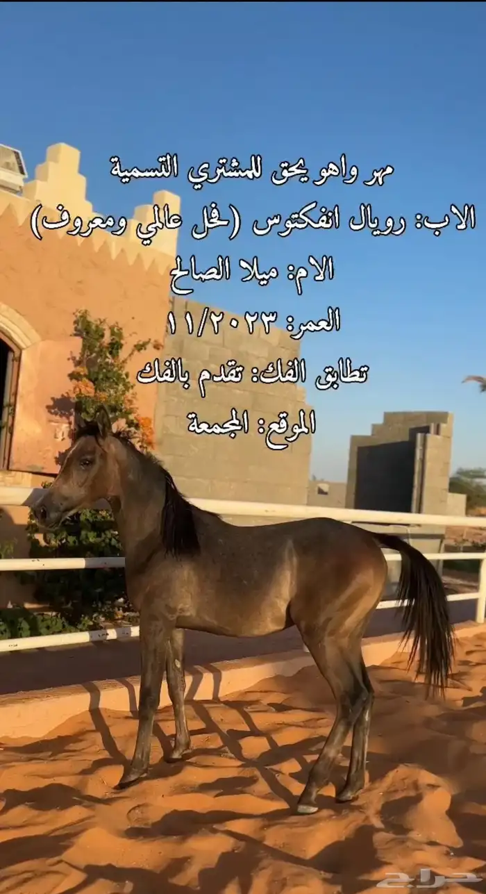 مهر 0