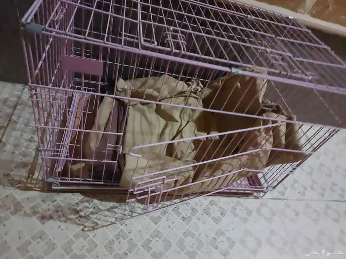 شبك قط كبير 0